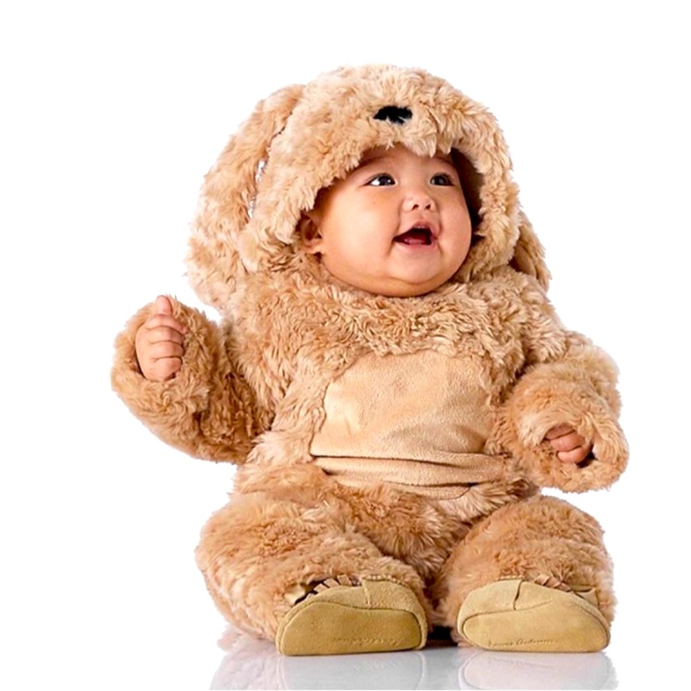 Pottery Barn Kids Fluffy Labradoodle Dog Baby Toddler Costume